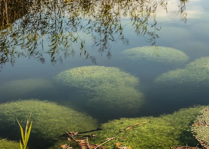 The Casterton Grange Estate Kirkby Lonsdale